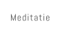 Meditatie